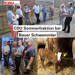 Foto: CDU Mühlheim am Main